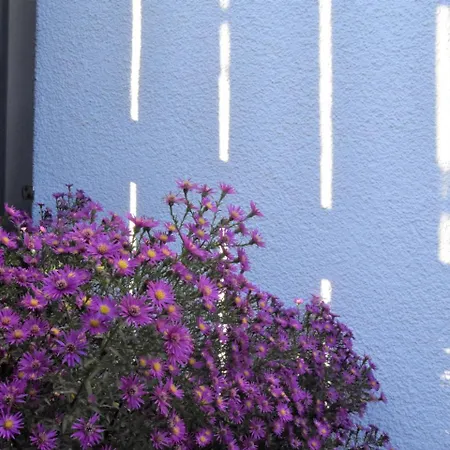 Cozy In Niehagen Germany Near Baltic Sea Beach *